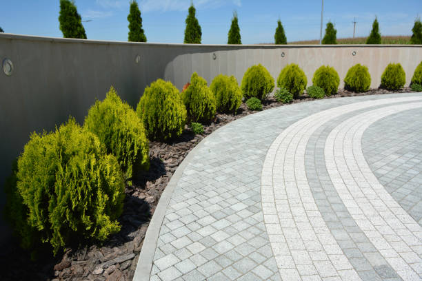 Best Commercial Driveway Pavers  in Clearwater, KS